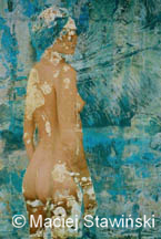 10a.jpg (11487 bytes)