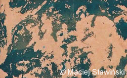 12.jpg (15968 bytes)