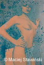 13a.jpg (9214 bytes)