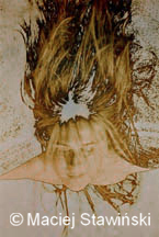 15a.jpg (10596 bytes)