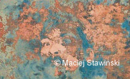 20.jpg (14366 bytes)